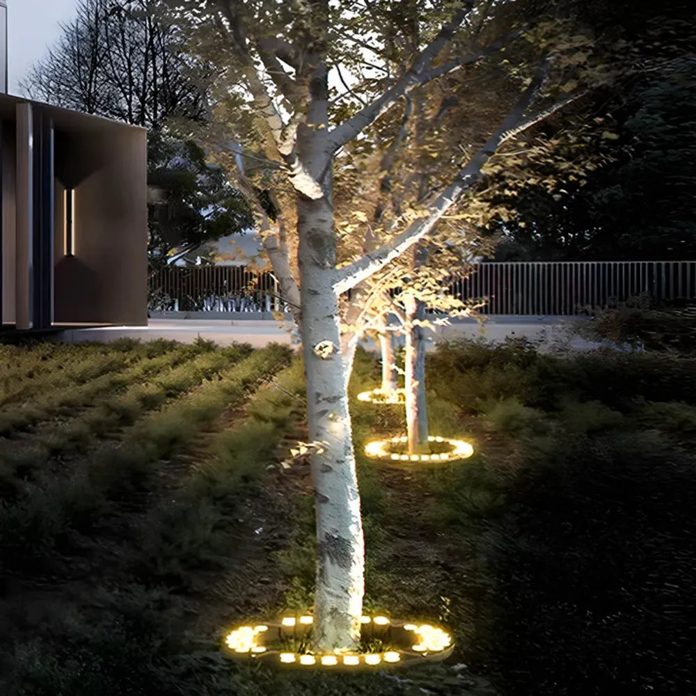 Outdoor Spotlight For Tree